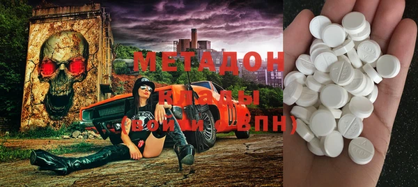 прущие грибы Алзамай