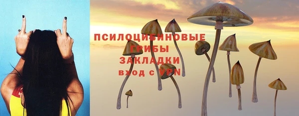 прущие грибы Алзамай