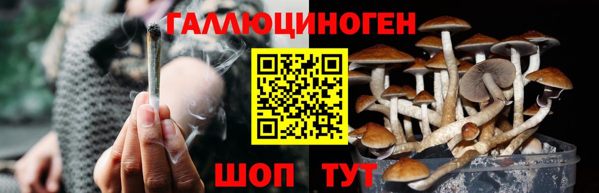 Галлюциногенные грибы Psilocybe  Вход с VPN  Батайск 
